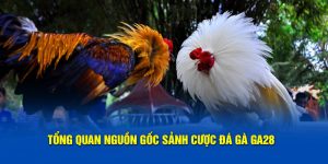 Sảnh đá gà GA28 GAVN99